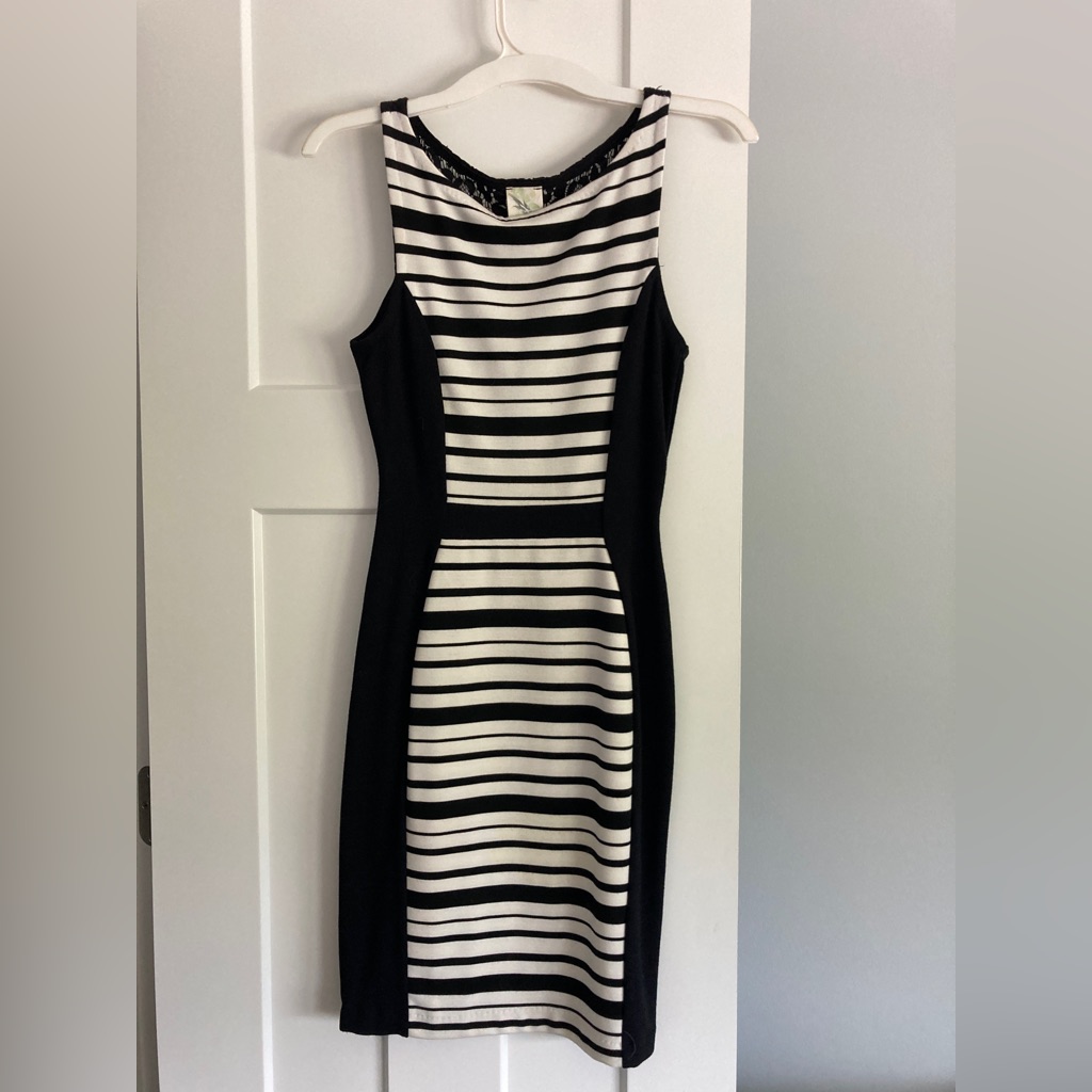 Black And White Stripe Form Fitting Dress